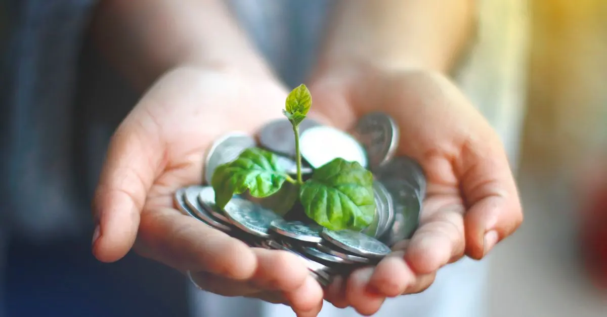 Die besten Tipps für nachhaltige Investitionen
