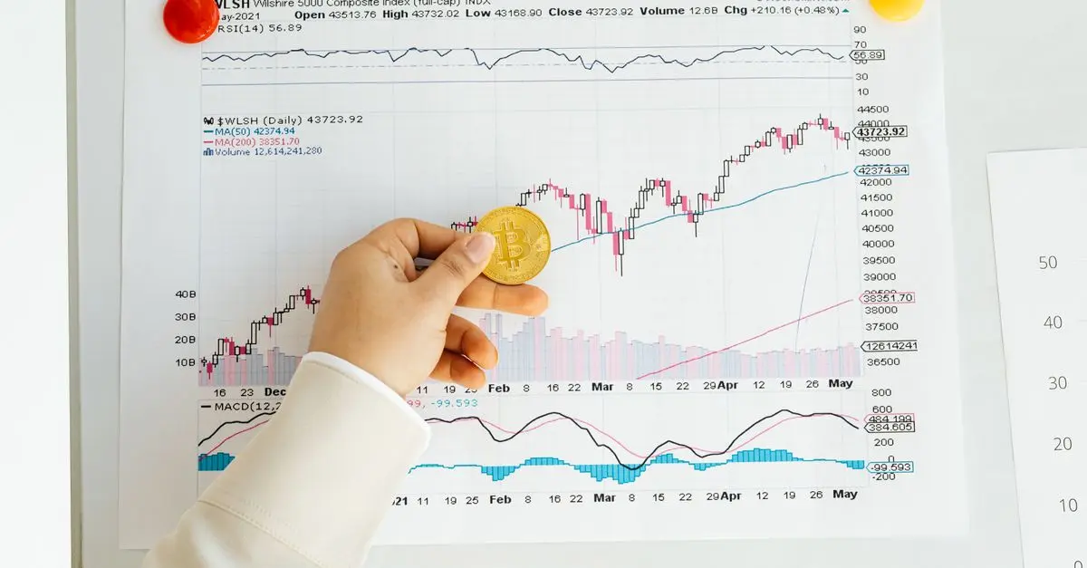 Was Investoren von Venture Capitalists lernen können