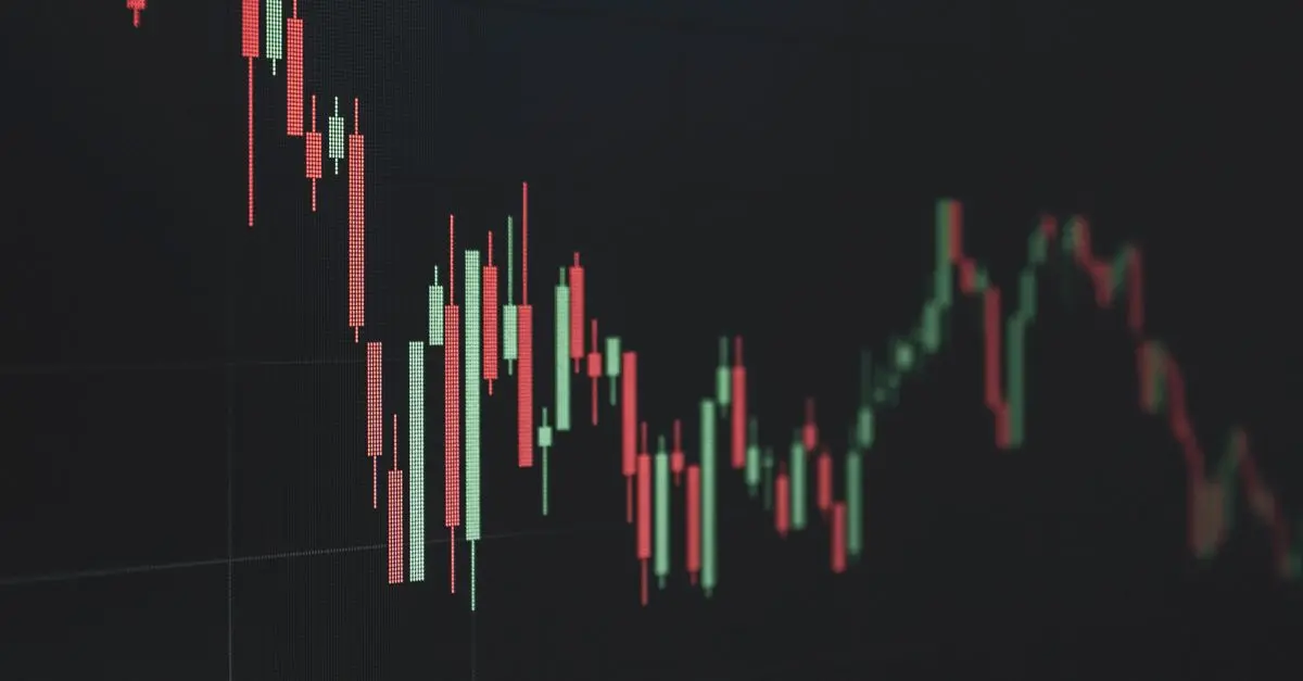 Wie man die besten Dividendenaktien auswählt